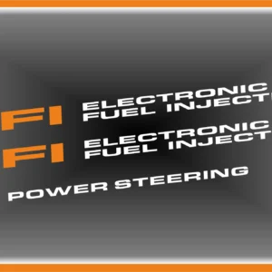 Kit pegatinas SEAT EFI