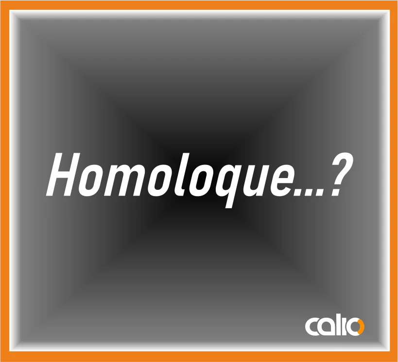 Pegatina vinilo Homoloque - Imagen 1