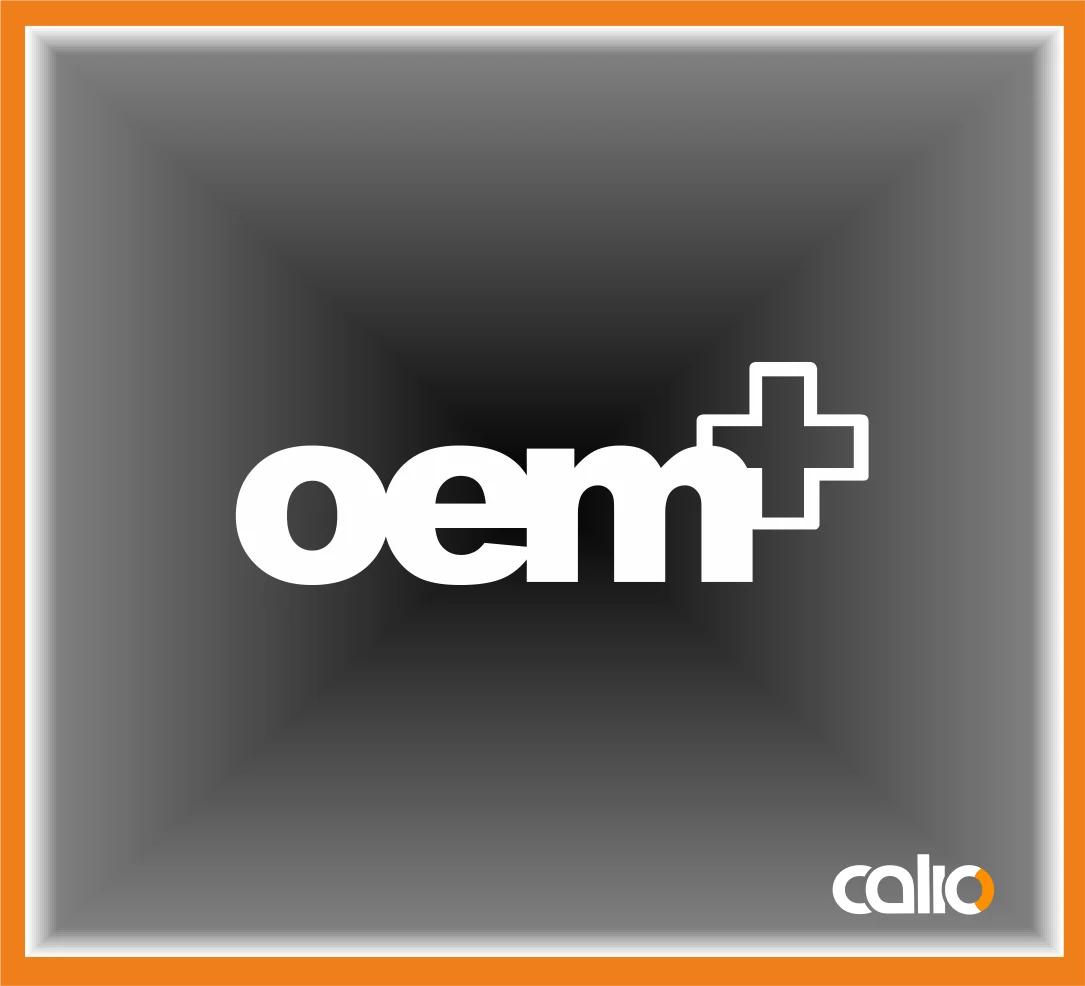 Pegatina vinilo Oem - Imagen 1