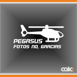 Pegatina vinilo Pegasus