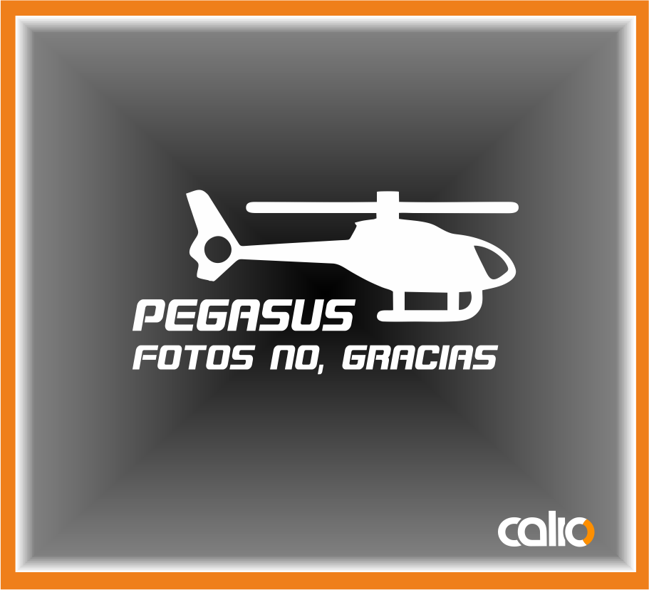 Pegatina vinilo Pegasus - Imagen 1