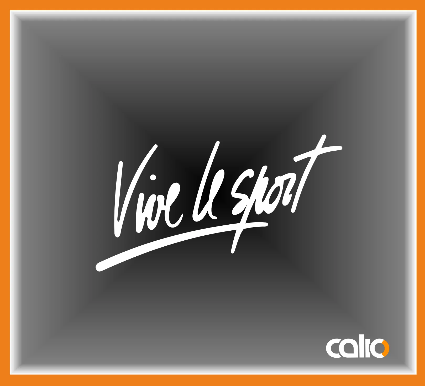 Pegatina vinilo Vive le sport - Imagen 1